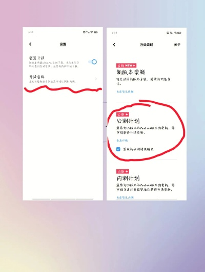 手机版本无法更新,实效性解析解读策略 Executive1_v7.349